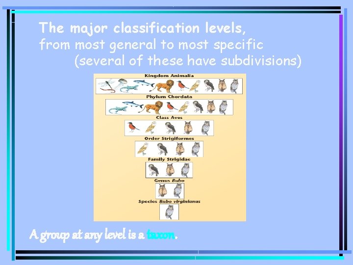 Classification of Living Things Taxonomy is the science