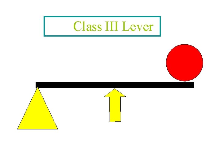 CLASS III LEVER Class III Lever 