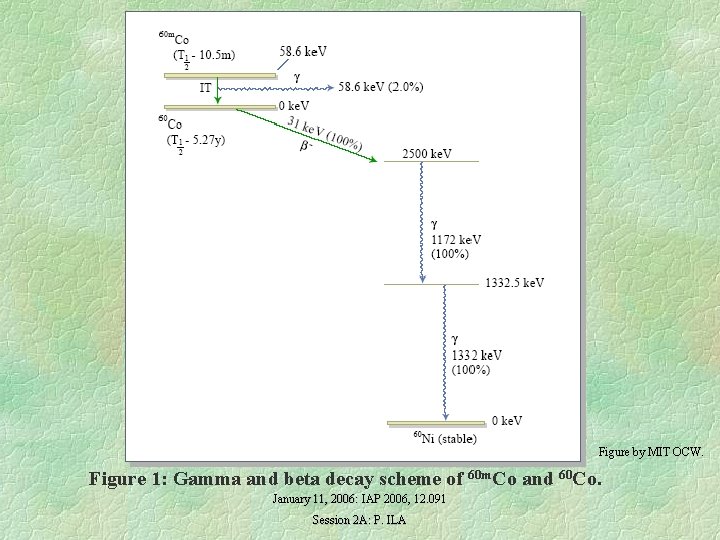 Figure by MIT OCW. Figure 1: Gamma and beta decay scheme of 60 m.