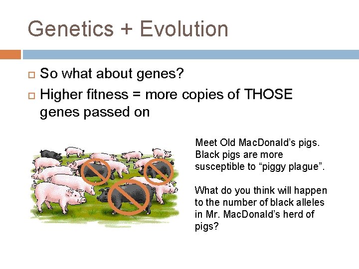 Genetics + Evolution So what about genes? Higher fitness = more copies of THOSE