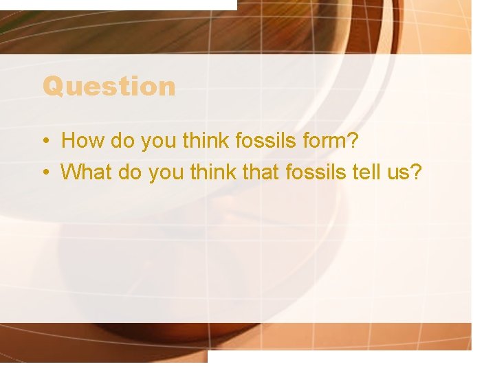 Question • How do you think fossils form? • What do you think that