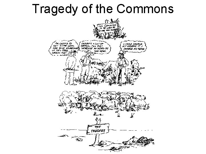 Tragedy of the Commons 