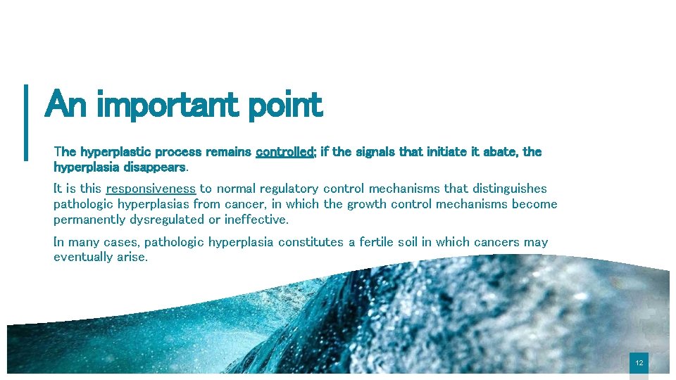 An important point The hyperplastic process remains controlled; if the signals that initiate it