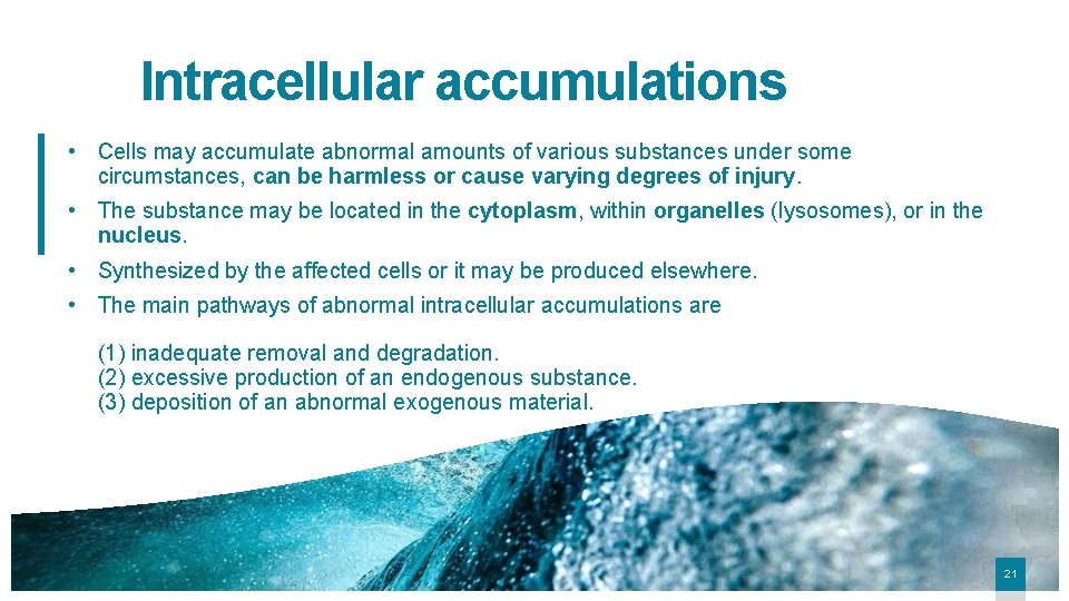 Intracellular accumulations • Cells may accumulate abnormal amounts of various substances under some circumstances,