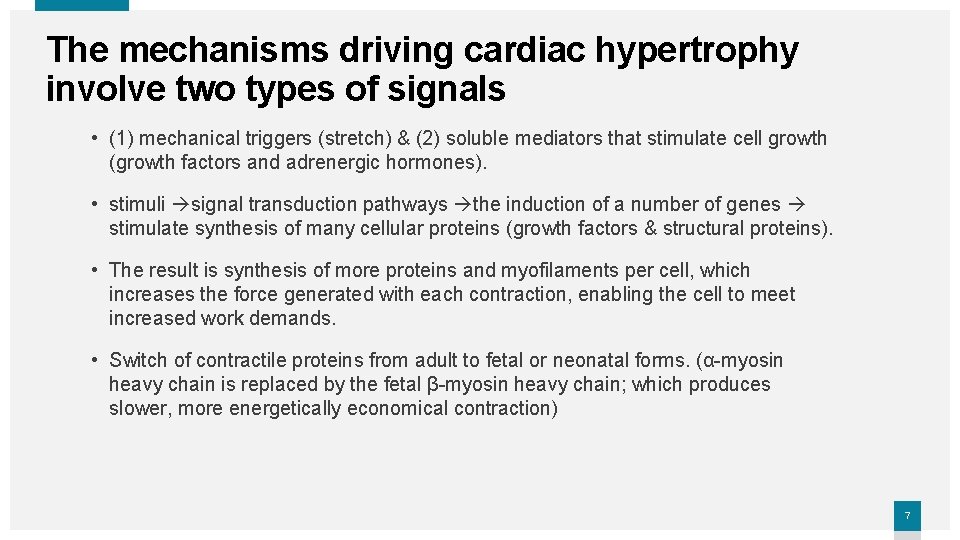 The mechanisms driving cardiac hypertrophy involve two types of signals • (1) mechanical triggers