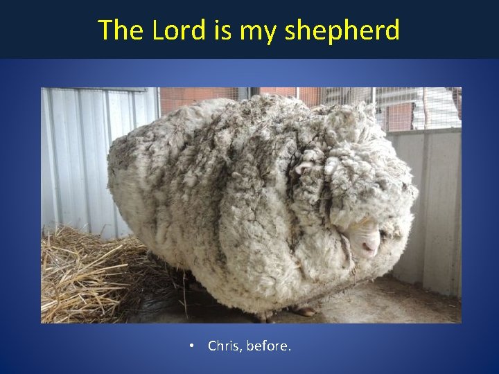 The Lord is my shepherd • Chris, before. 
