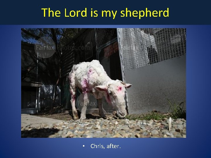 The Lord is my shepherd • Chris, after. 