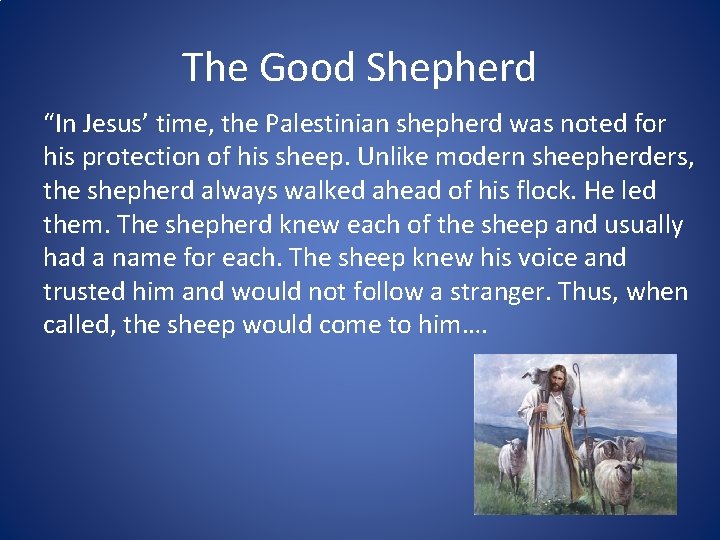 The Good Shepherd “In Jesus’ time, the Palestinian shepherd was noted for his protection