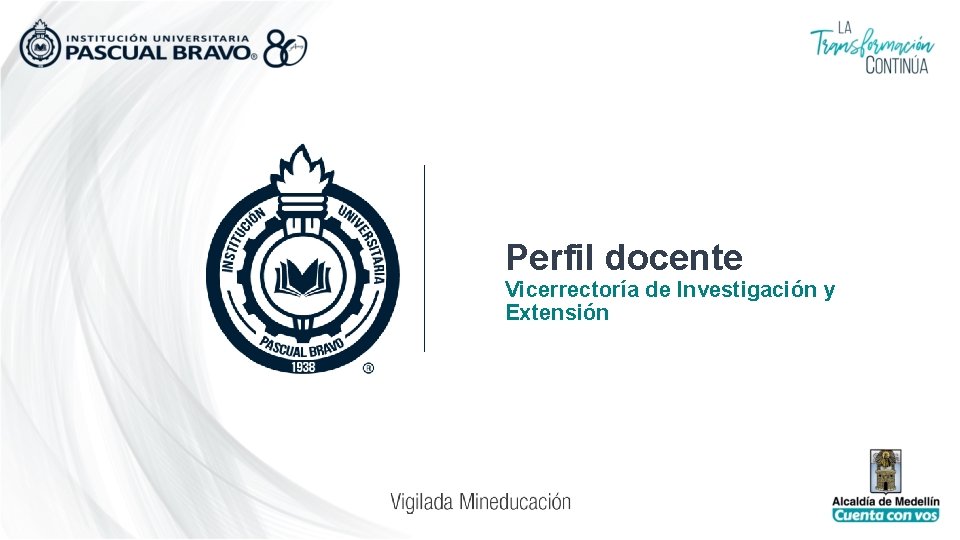 Perfil docente Vicerrectoría de Investigación y Extensión 