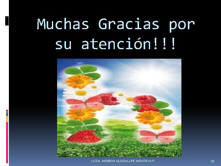 Muchas Gracias por su atención!!! LICDA. MORENA GUADALUPE MONTOYA P. 29 