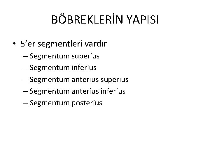 BÖBREKLERİN YAPISI • 5’er segmentleri vardır – Segmentum superius – Segmentum inferius – Segmentum