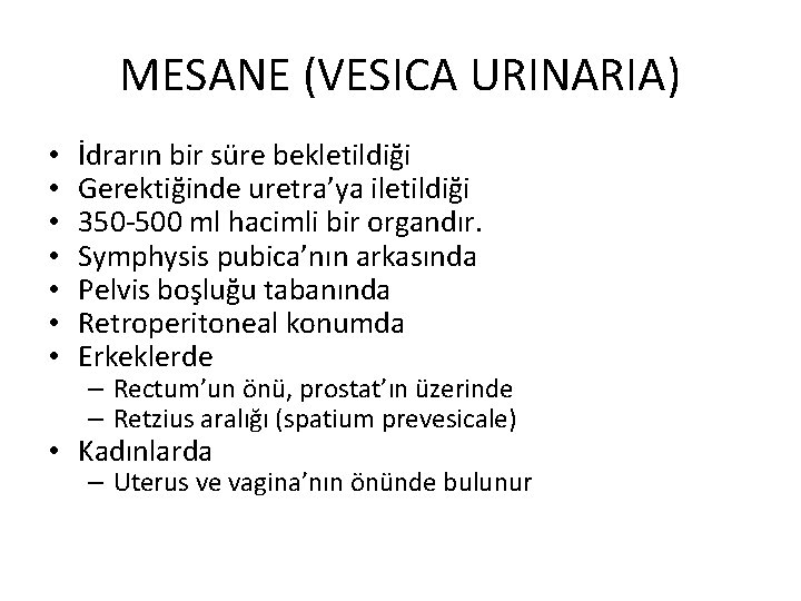 MESANE (VESICA URINARIA) • • İdrarın bir süre bekletildiği Gerektiğinde uretra’ya iletildiği 350 -500