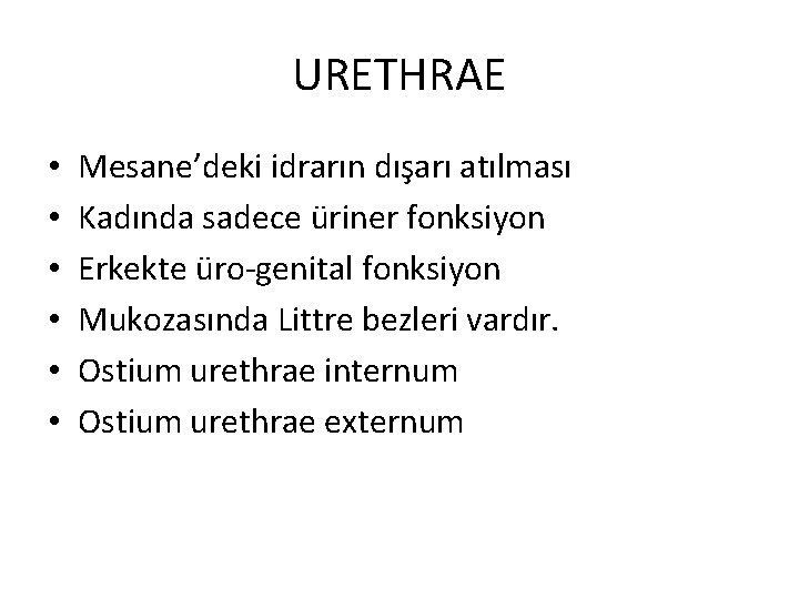 URETHRAE • • • Mesane’deki idrarın dışarı atılması Kadında sadece üriner fonksiyon Erkekte üro-genital