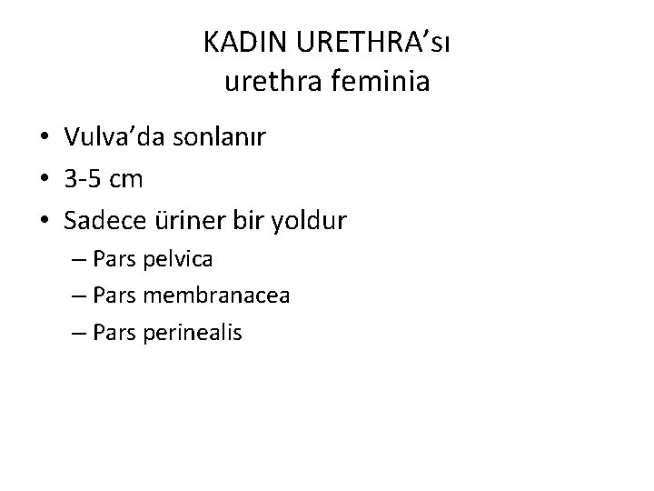 KADIN URETHRA’sı urethra feminia • Vulva’da sonlanır • 3 -5 cm • Sadece üriner