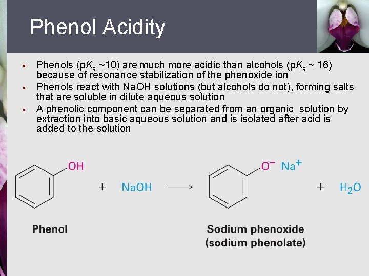 Phenol Acidity § § § Phenols (p. Ka ~10) are much more acidic than