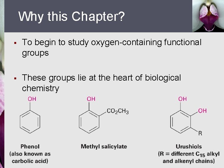 Why this Chapter? § To begin to study oxygen-containing functional groups § These groups