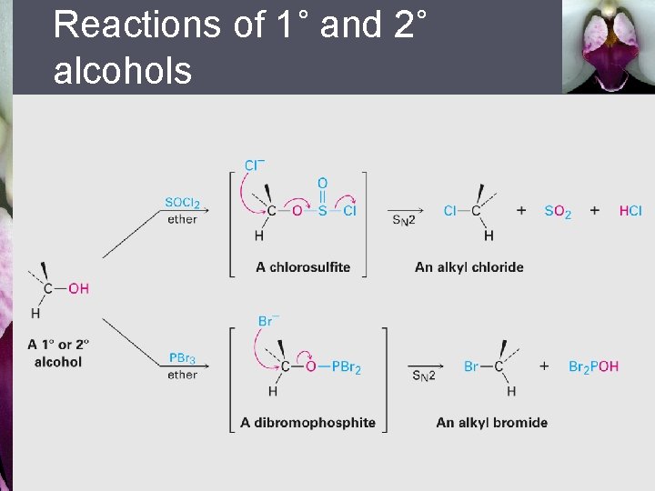 Reactions of 1˚ and 2˚ alcohols 