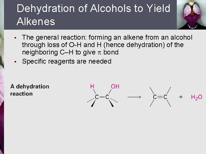 Dehydration of Alcohols to Yield Alkenes § § The general reaction: forming an alkene