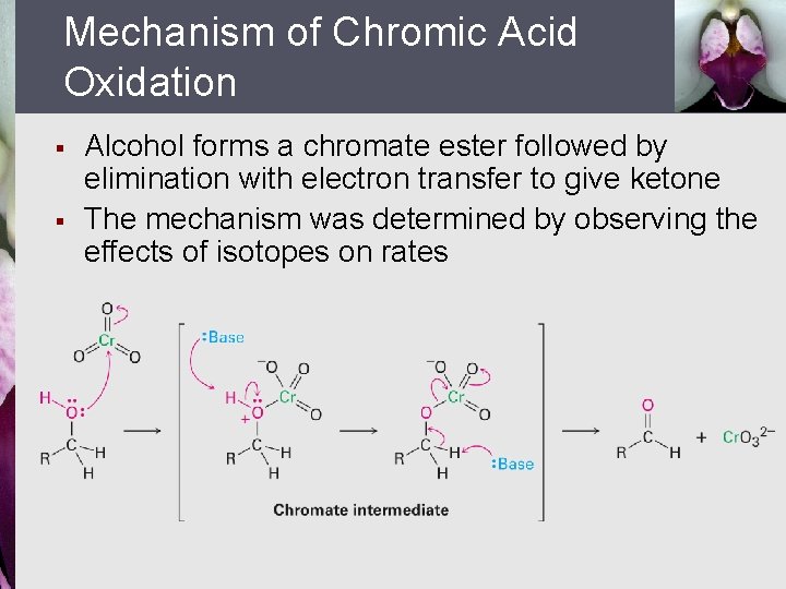 Mechanism of Chromic Acid Oxidation § § Alcohol forms a chromate ester followed by