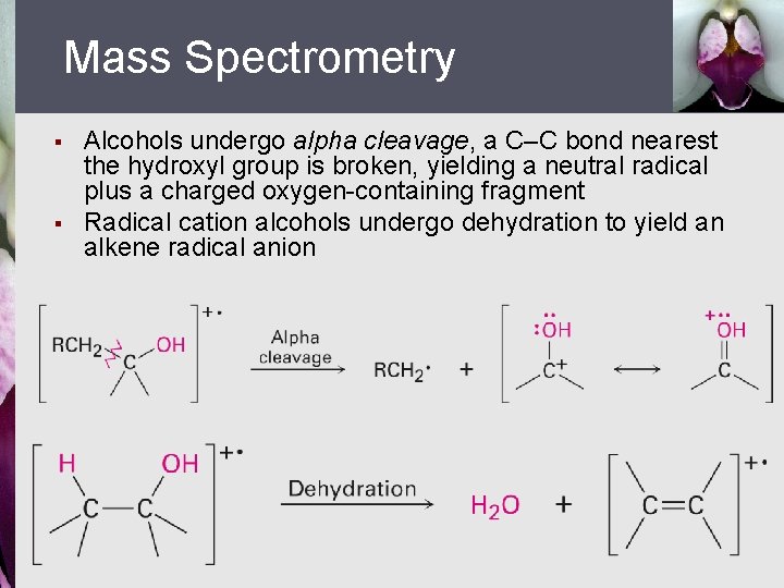Mass Spectrometry § § Alcohols undergo alpha cleavage, a C–C bond nearest the hydroxyl