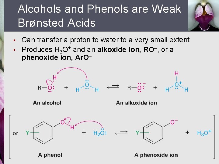 Alcohols and Phenols are Weak Brønsted Acids § § Can transfer a proton to