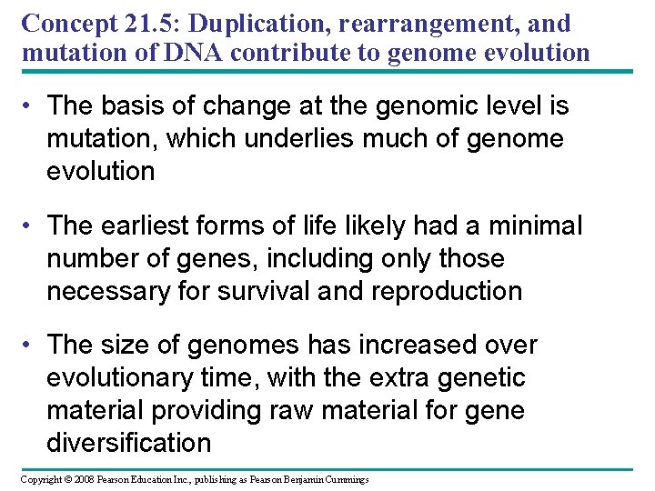 Concept 21. 5: Duplication, rearrangement, and mutation of DNA contribute to genome evolution •
