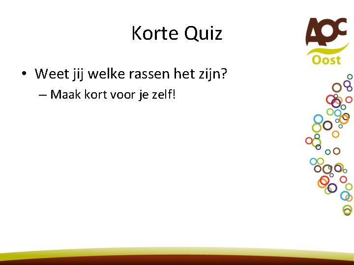 Korte Quiz • Weet jij welke rassen het zijn? – Maak kort voor je