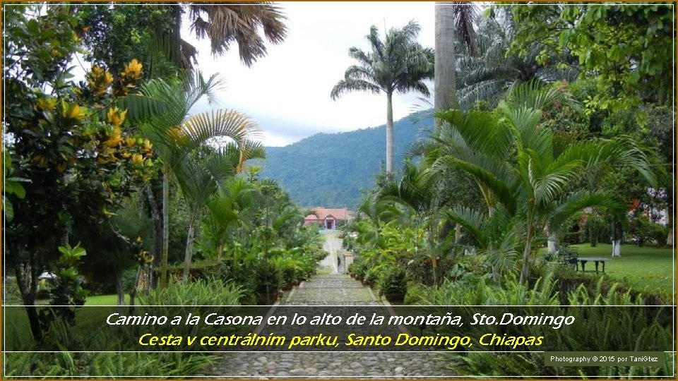 Camino a la Casona en lo alto de la montaña, Sto. Domingo Cesta v