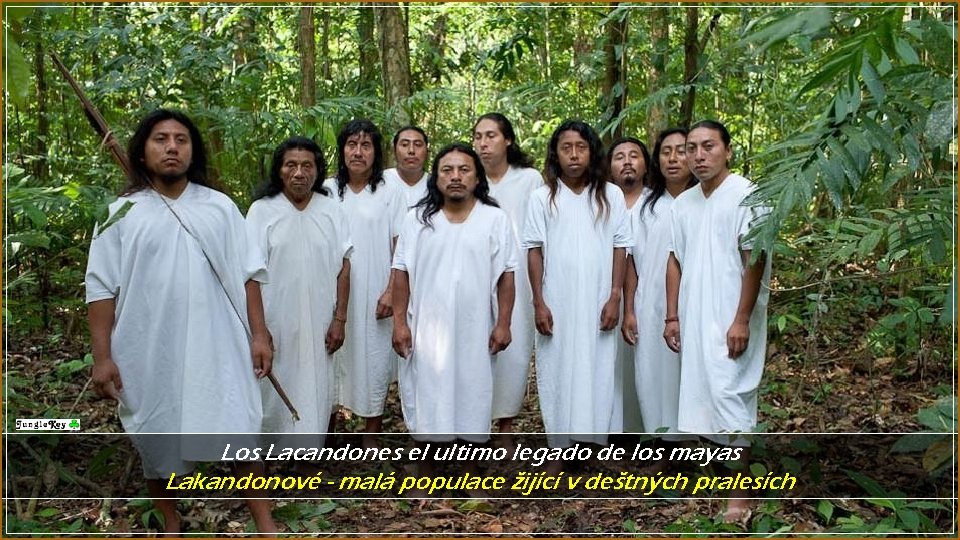 Los Lacandones el ultimo legado de los mayas Lakandonové - malá populace žijící v