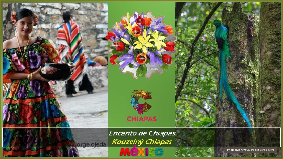 Encanto de Chiapas Kouzelný Chiapas Photography © 2014 por Jorge Silva 