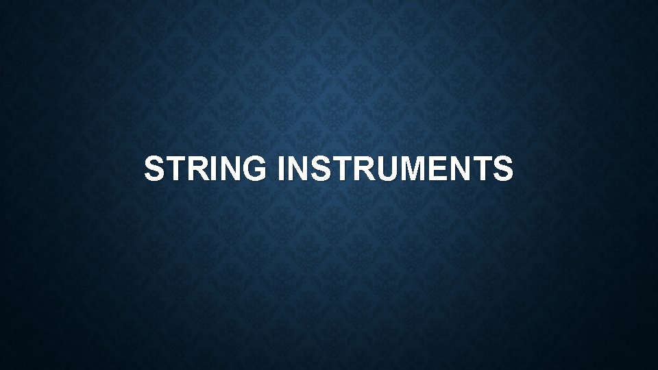 STRING INSTRUMENTS 