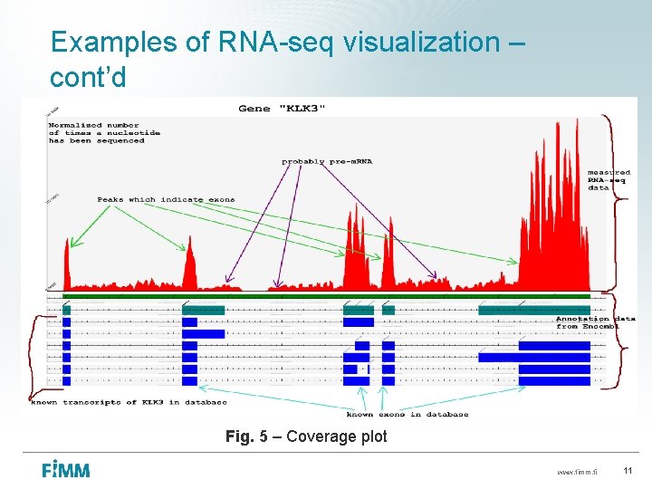 Examples of RNA-seq visualization – cont’d Fig. 5 – Coverage plot www. fimm. fi