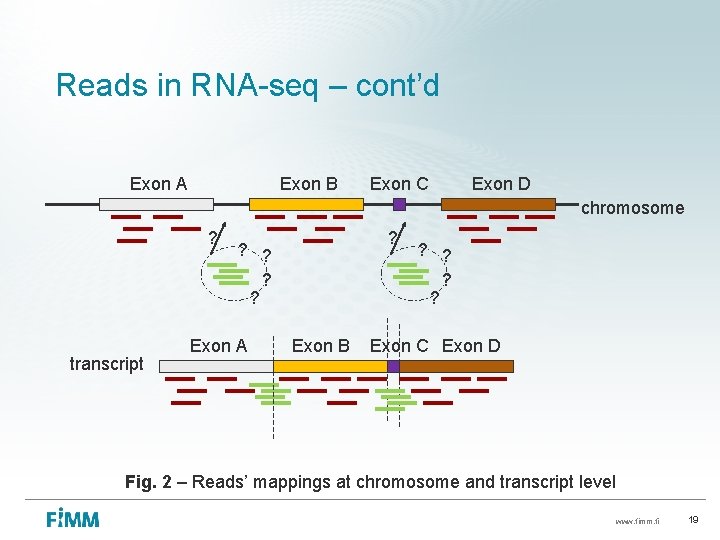 Reads in RNA-seq – cont’d Exon A Exon B Exon C Exon D chromosome