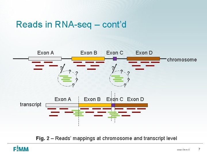 Reads in RNA-seq – cont’d Exon A Exon B Exon C Exon D chromosome