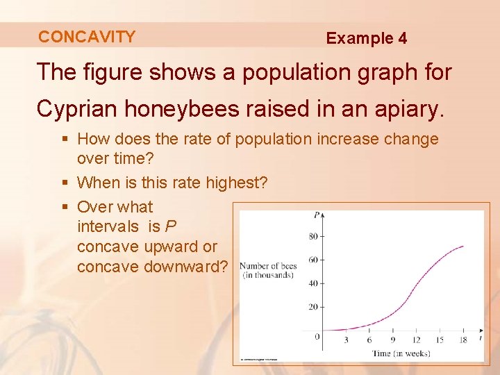 CONCAVITY Example 4 The figure shows a population graph for Cyprian honeybees raised in