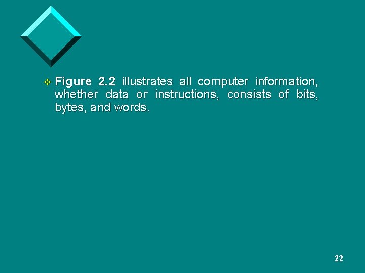 v Figure 2. 2 illustrates all computer information, whether data or instructions, consists of