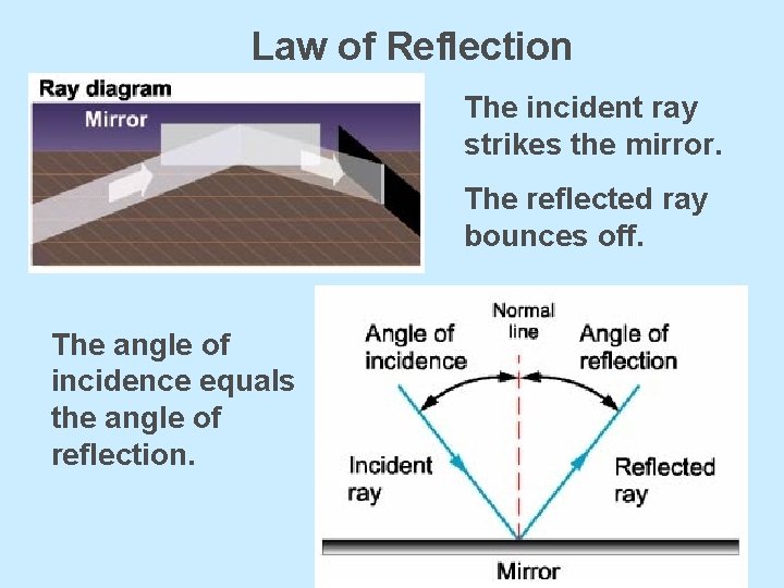 Law of Reflection The incident ray strikes the mirror. The reflected ray bounces off.