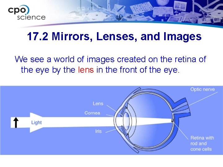 17. 2 Mirrors, Lenses, and Images We see a world of images created on