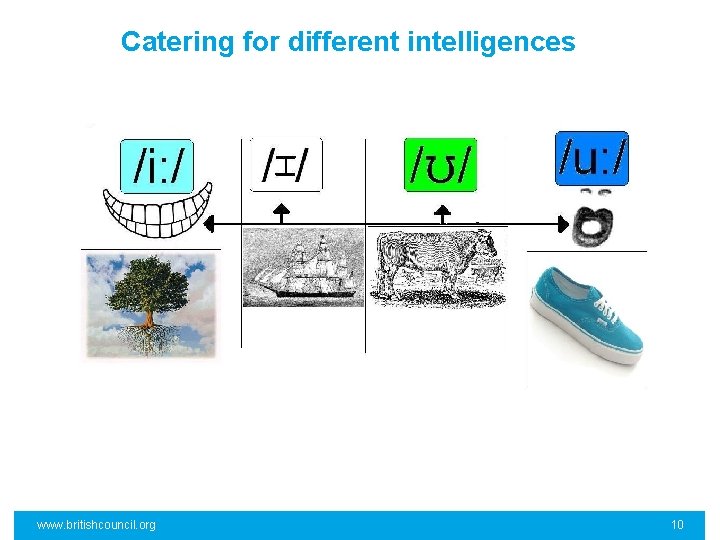 Catering for different intelligences www. britishcouncil. org 10 