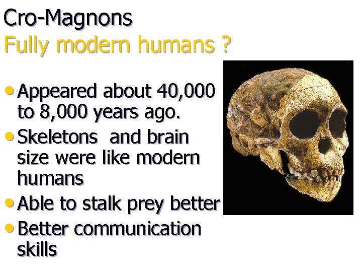 Cro-Magnons Fully modern humans ? • Appeared about 40, 000 to 8, 000 years