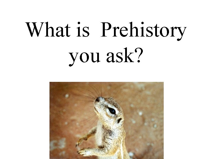 What is Prehistory you ask? 