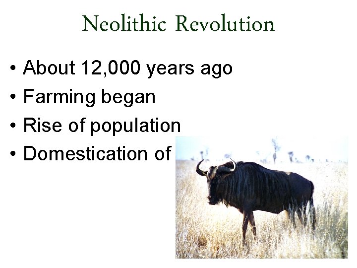 Neolithic Revolution • • About 12, 000 years ago Farming began Rise of population