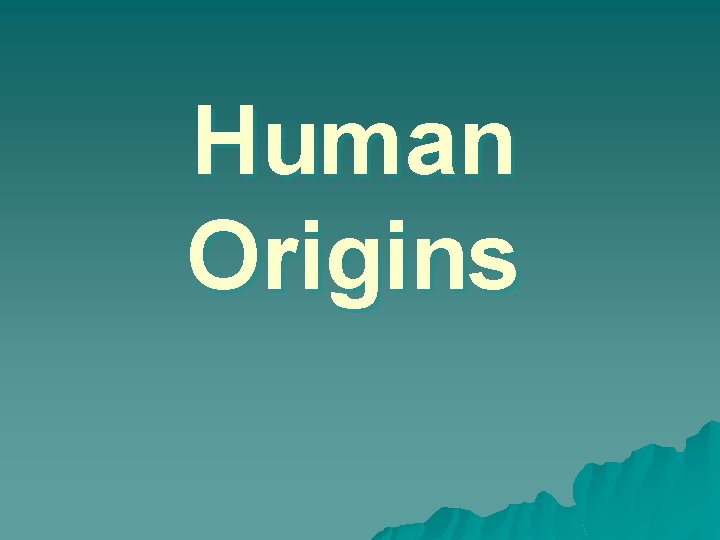 Human Origins 
