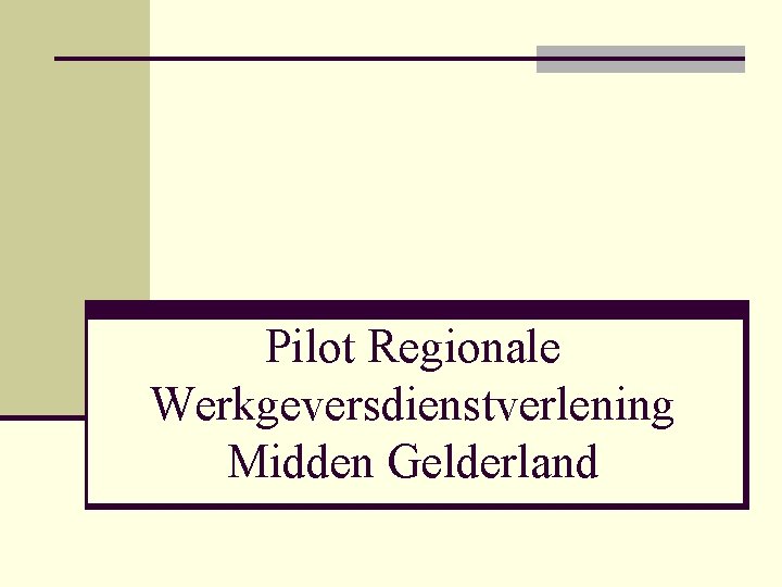 Pilot Regionale Werkgeversdienstverlening Midden Gelderland 