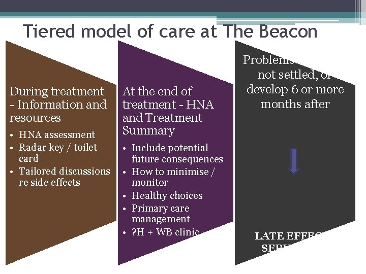 Tiered model of care at The Beacon During treatment - Information and resources •