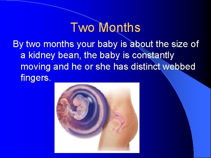 Two Months By two months your baby is about the size of a kidney