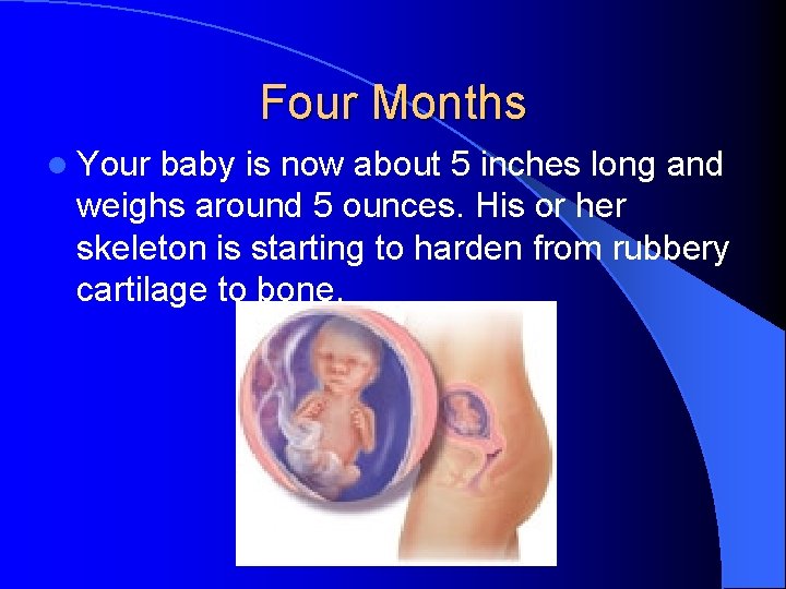 Four Months l Your baby is now about 5 inches long and weighs around
