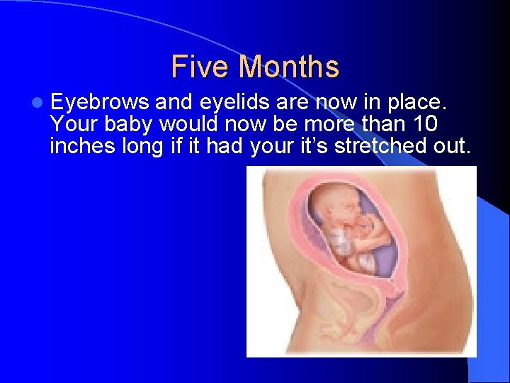 Five Months l Eyebrows and eyelids are now in place. Your baby would now