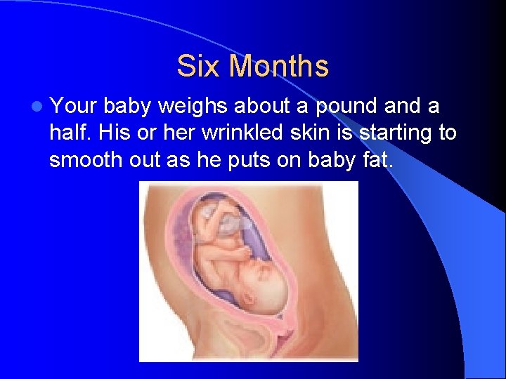 Six Months l Your baby weighs about a pound a half. His or her