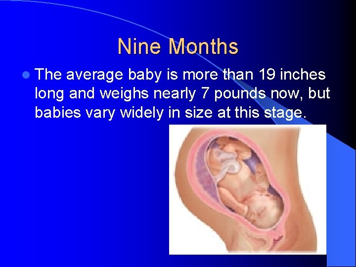 Nine Months l The average baby is more than 19 inches long and weighs